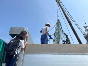 北海道ホタテ産業調査