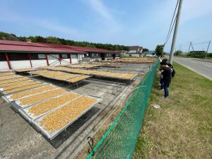 北海道ホタテ産業調査